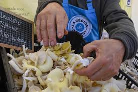 Marché du Goût: près de 100 producteurs de la région attendus à Bellecour