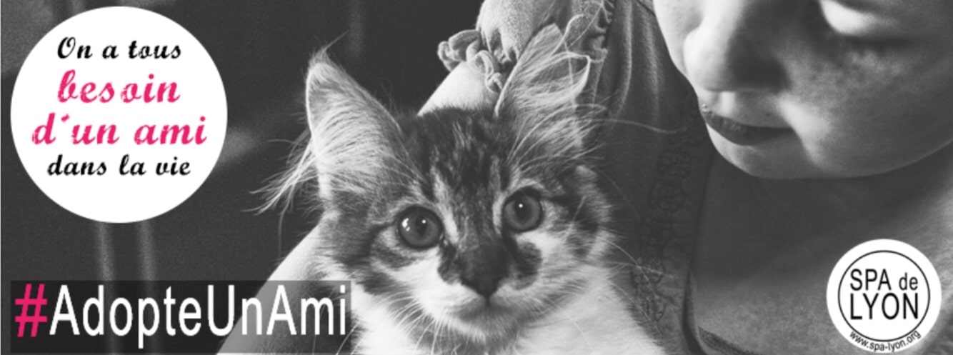 Adopter, c’est choisir un ami pour la vie