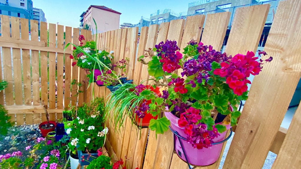Gardien des Plantes