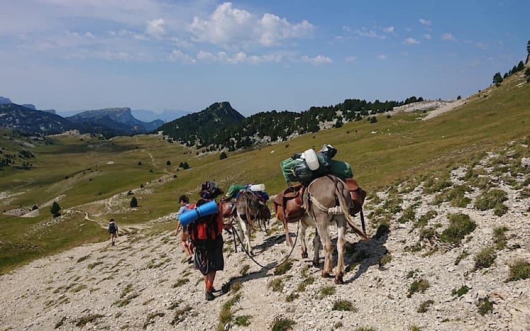 On The Green Road : le voyage engagé !
