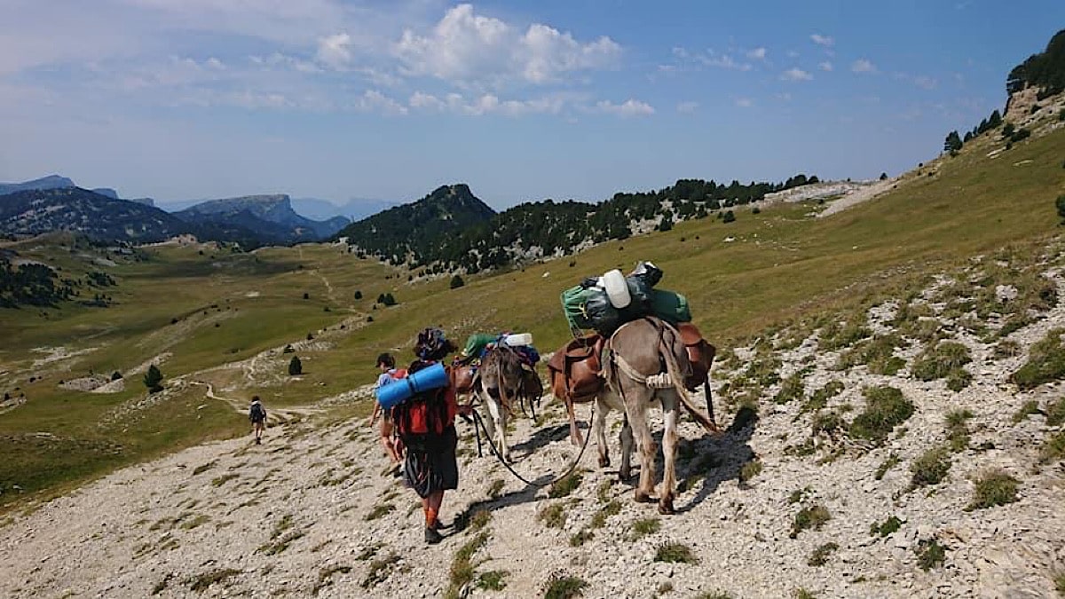 On The Green Road, le voyage engagé pour partager des expériences engagées pour l'environnement