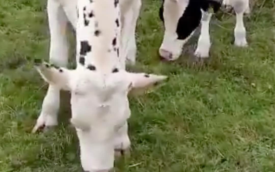 Sécheresse : le gouvernement renforce son soutien aux agriculteurs