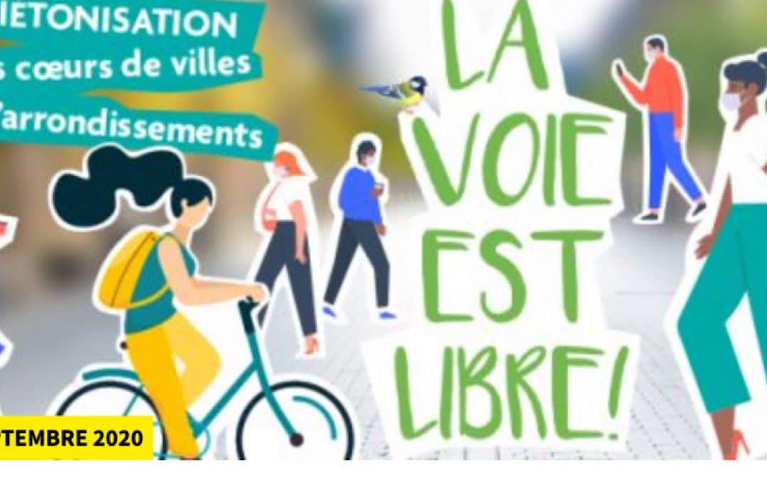 Opération « La Voie est libre » : attention à la fourrière