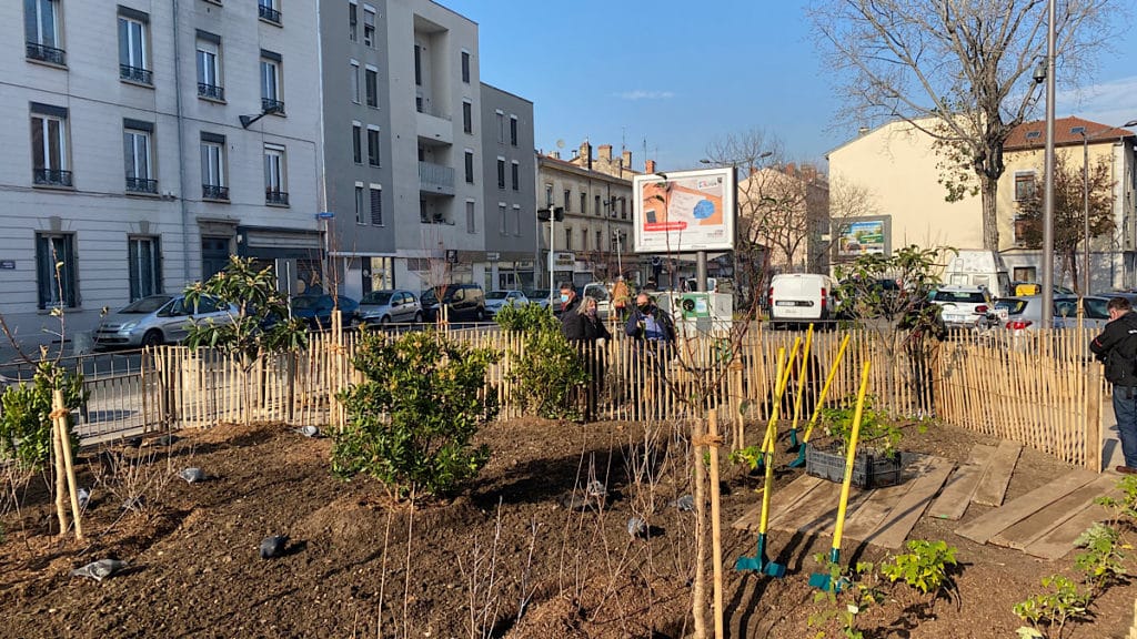 La Ville de Lyon crée un verger par arrondissement
