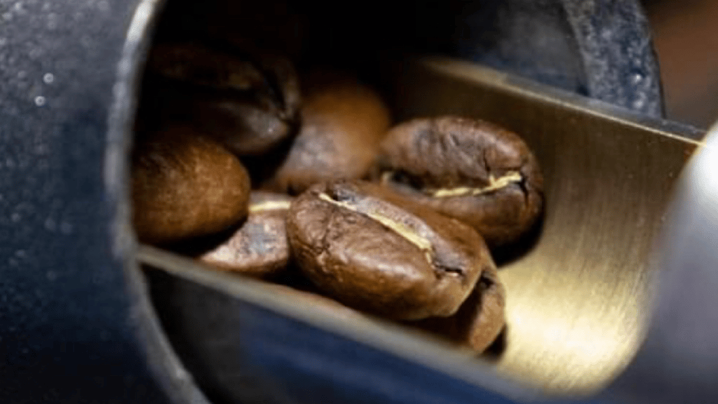 café bio torréfié en ville