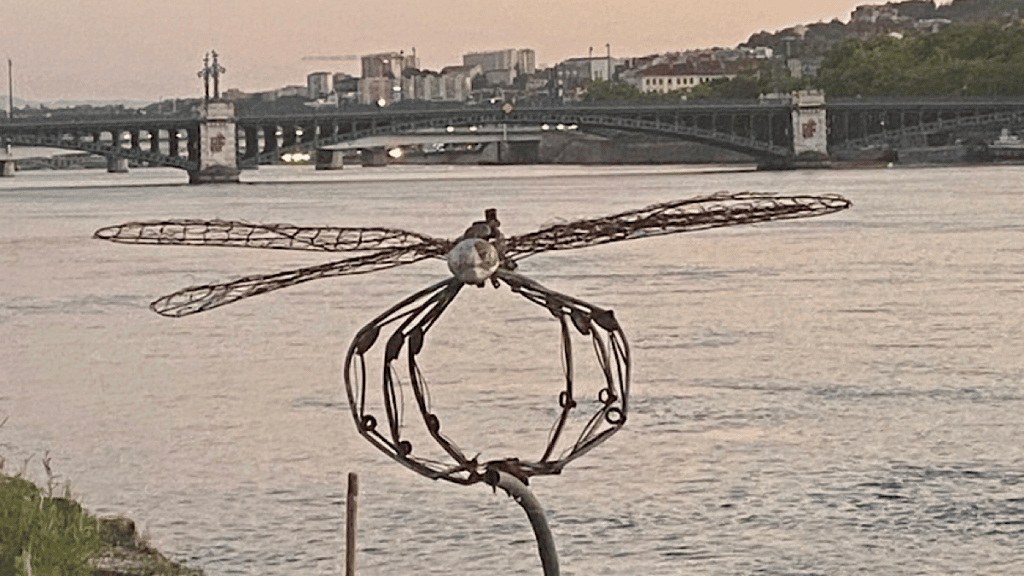 Espèces Parmi'Lyon