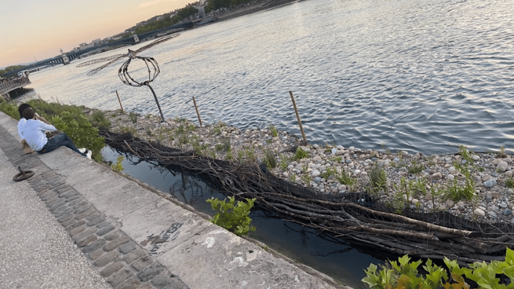 Gabiodiv est un projet qui vise à réintroduire la biodiversité en ville le long du Rhône et de la Saône