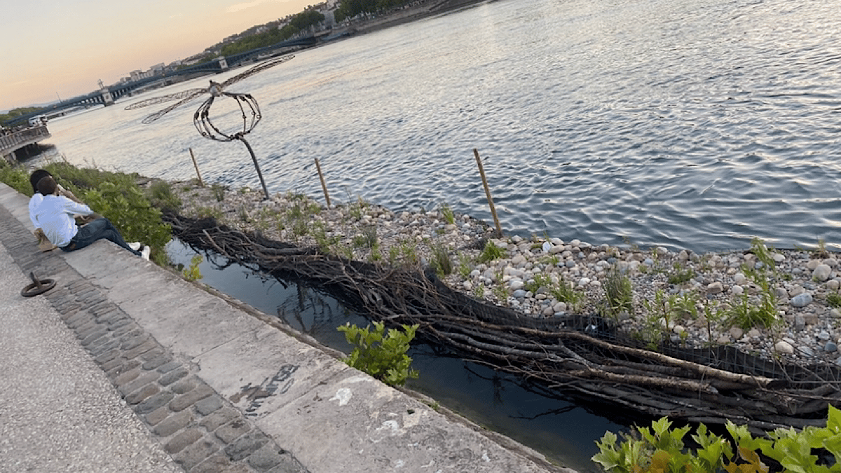 Gabiodiv’ : les castors de retour en ville…