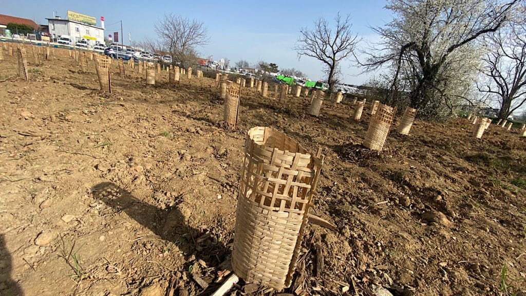 forêt urbaine de Saint-Priest
