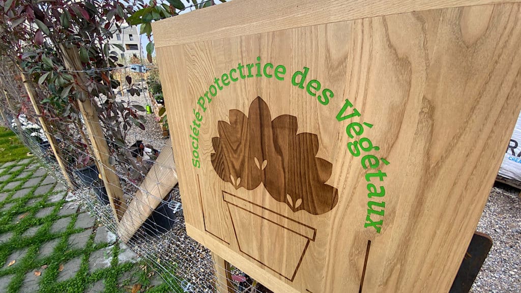 une seconde vie aux plantes