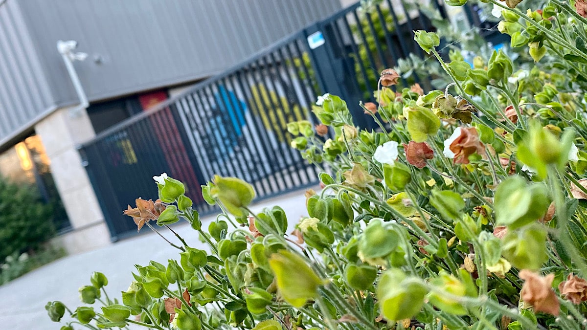Biodiversité : un défi également citoyen…