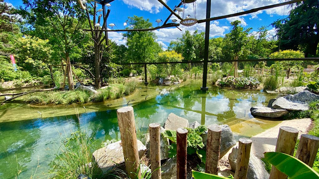 Un nouvel espace de découverte des animaux au parc de la Tête d'Or