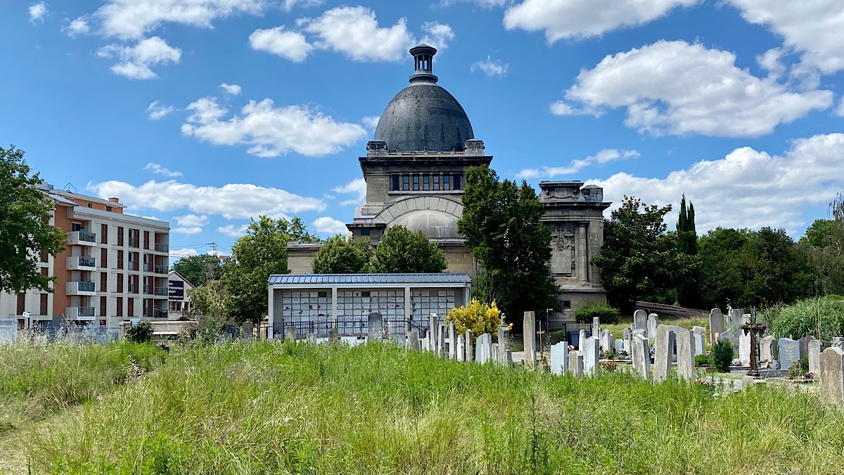 Les cimetières de Lyon sont aussi des réserves naturelles