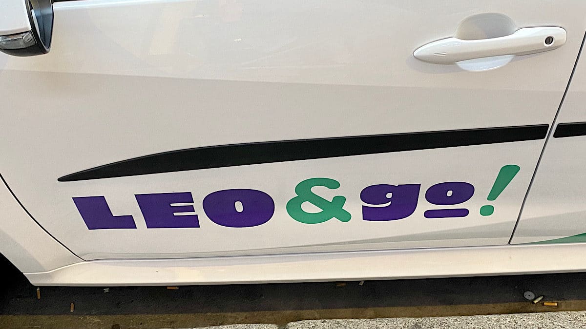 logo Leo&Go