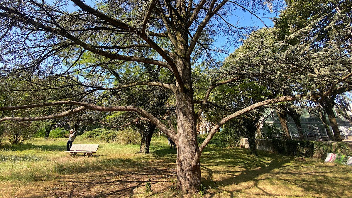 L'AUTRE SOIE LE PARC