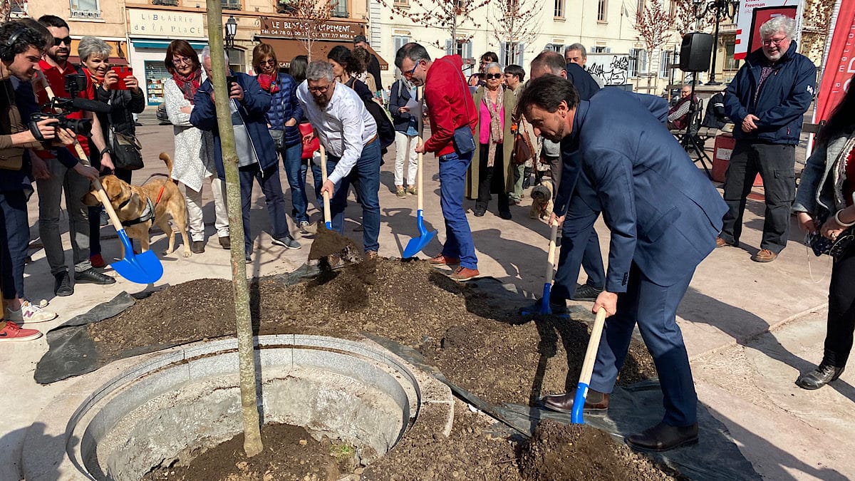 plantation d'un arbre à Lyon par Grégory Doucet et les élus de Lyon et de la Métropole