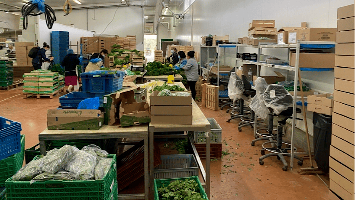 Maréchal Fraîcheur : productions 100% bio près de Lyon