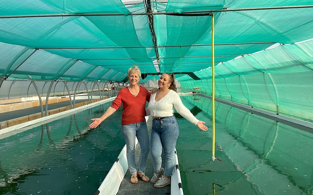 Spiraline : la spiruline se cultive aux portes de Lyon