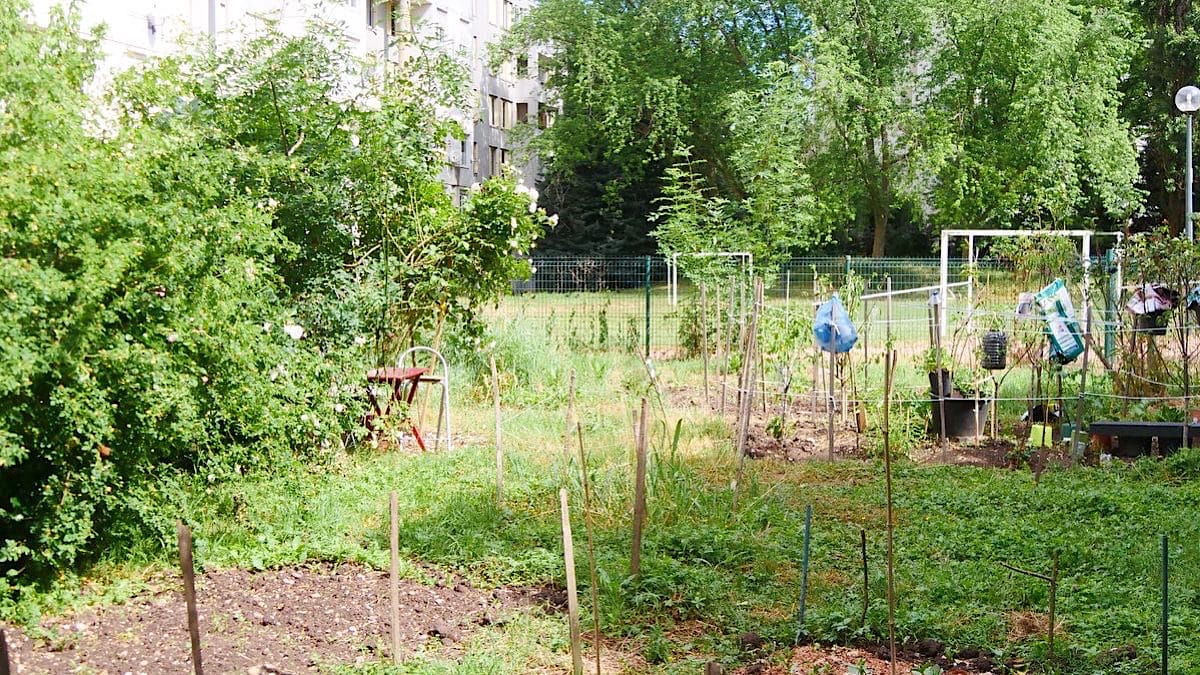 jardins familiaux Duchère