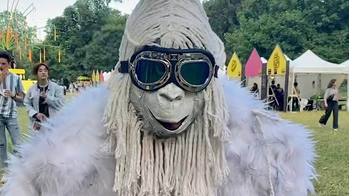 Réel Yeti