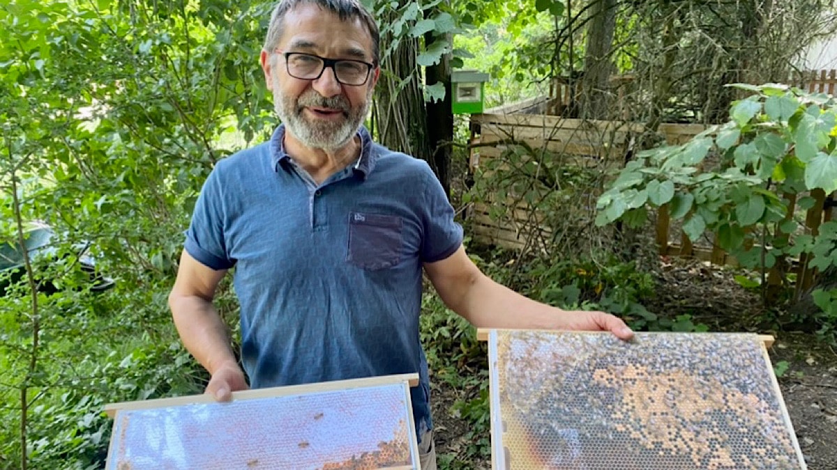 Des ruches à Lyon pour sensibiliser et produire