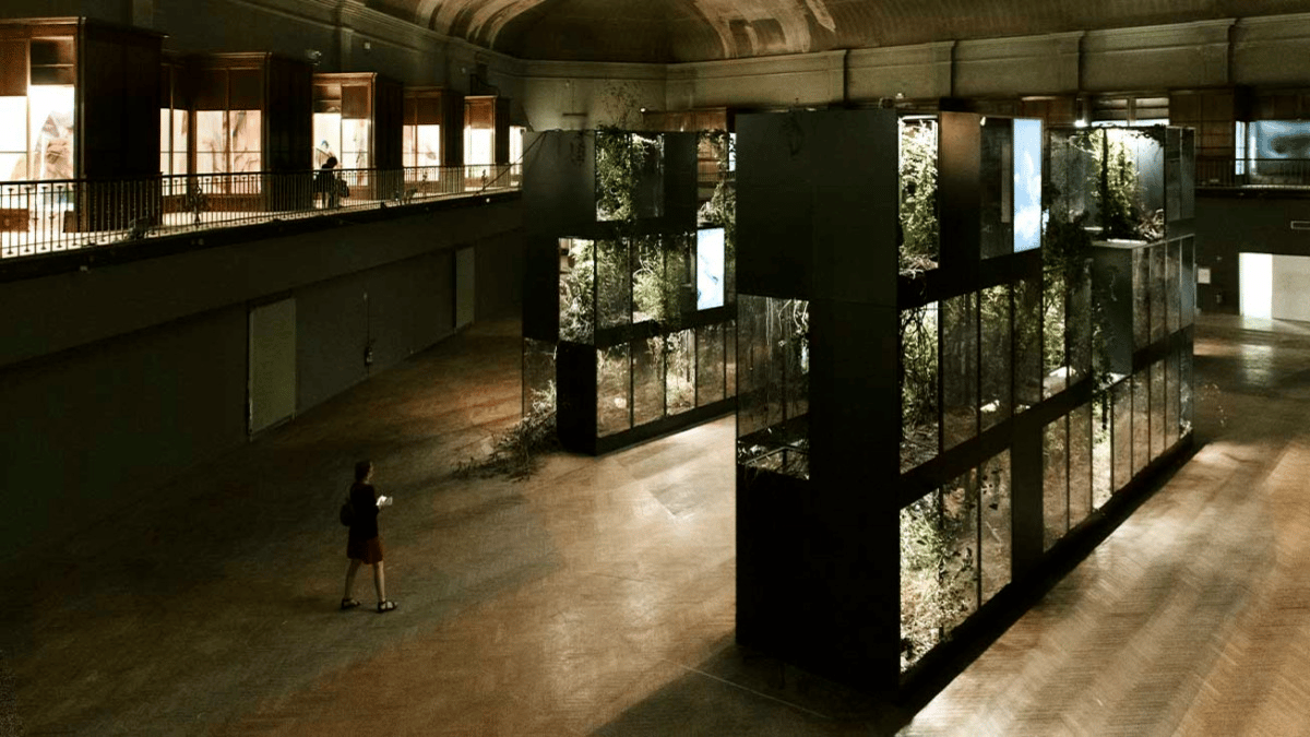 « Grafted memory system »