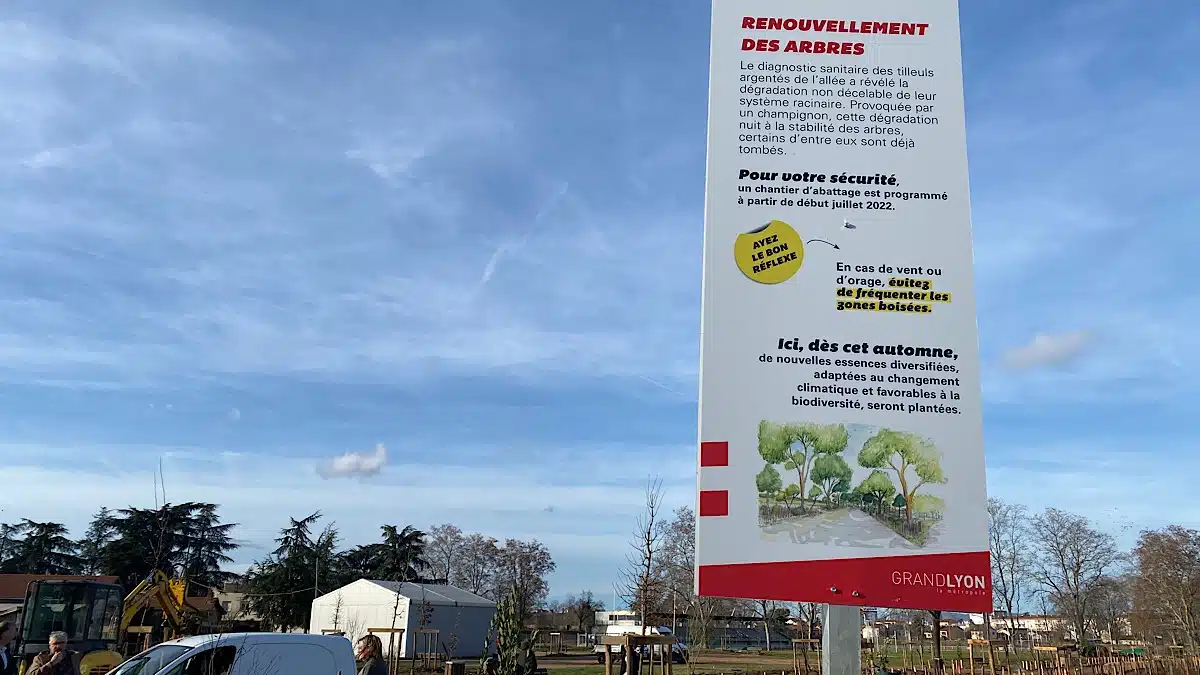 travaux de replantation