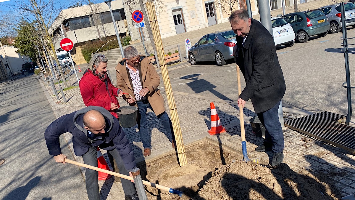 25 000 arbres plantés