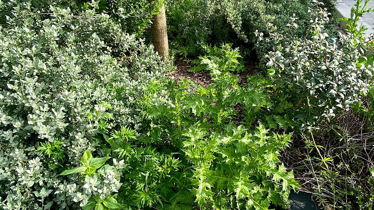 Défi 100 refuges de biodiversité