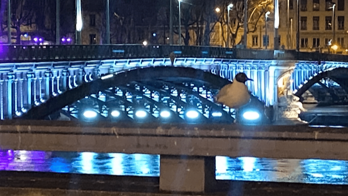pont Lafayette