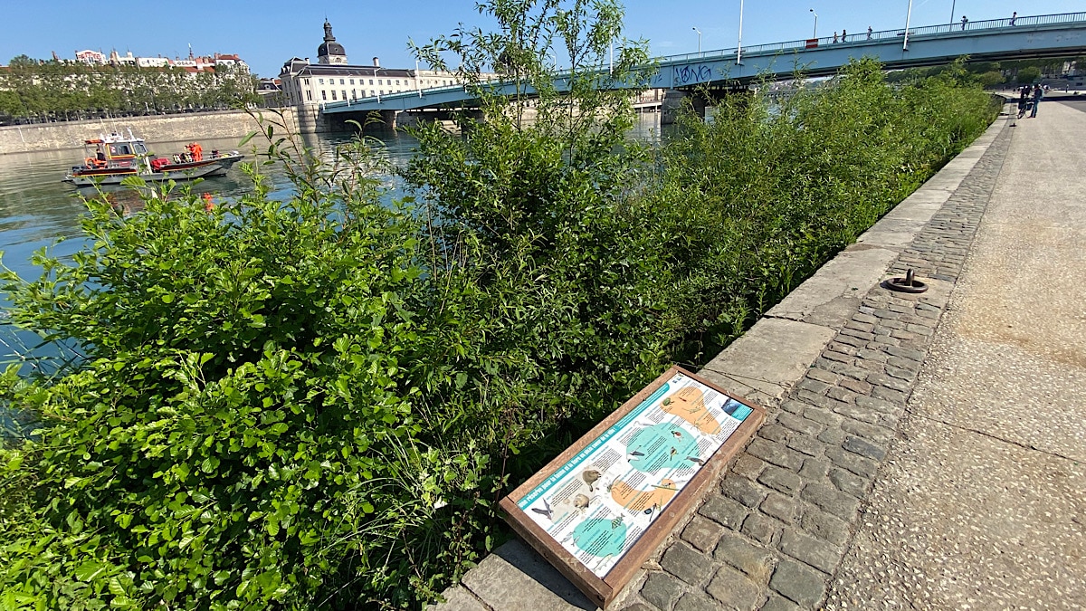 biodiversité