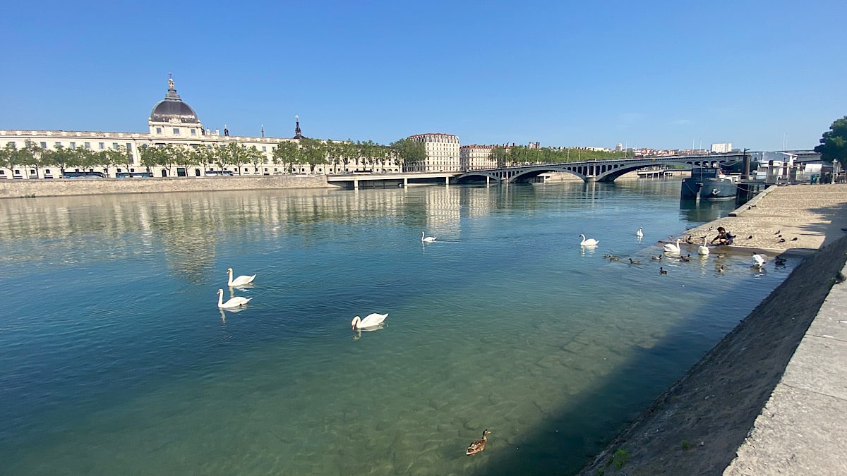Sauver le Rhône