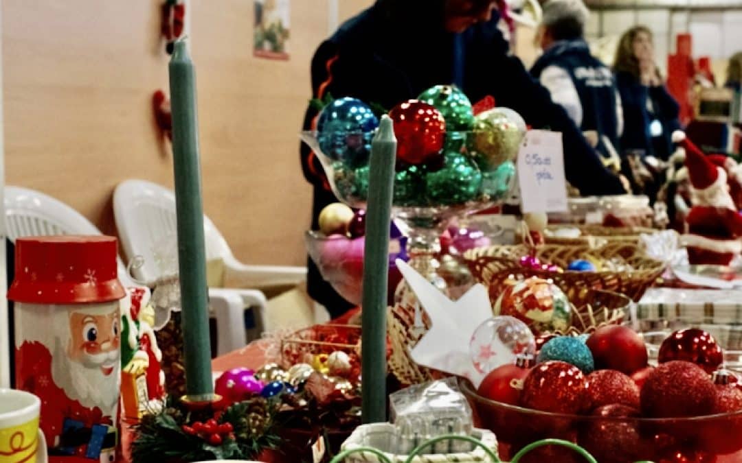 La SPA de Lyon prépare son Bazar de Noël