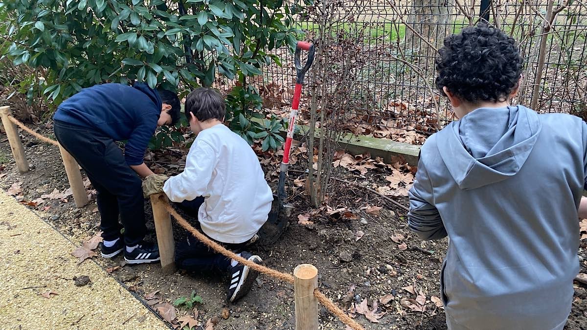 plantation enfants