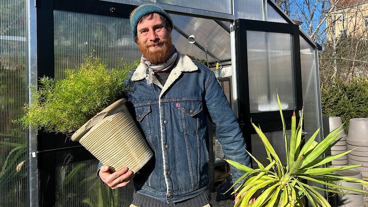 offrir des plantes