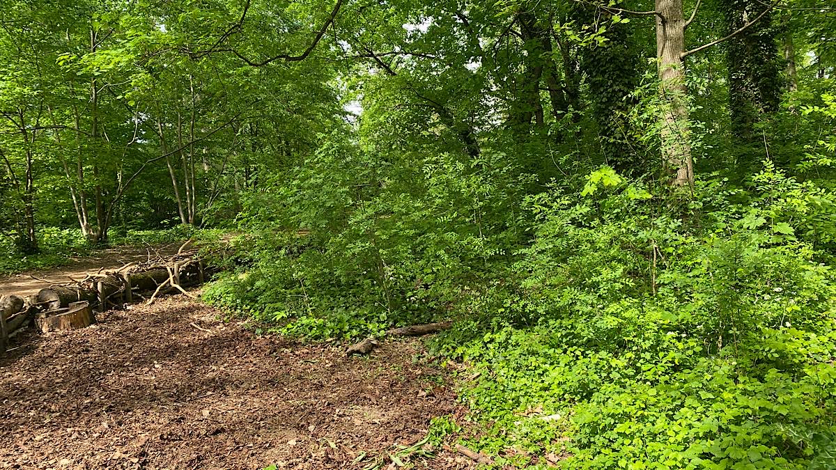 Lyon Nature