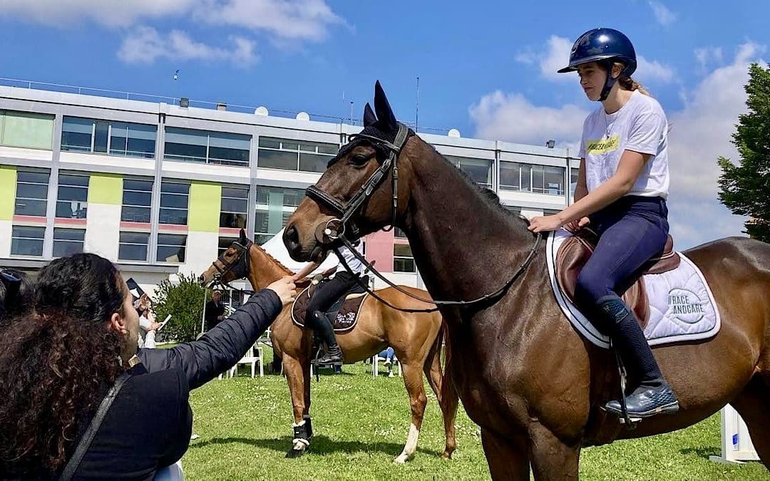Parilly : le reconversion des chevaux en question