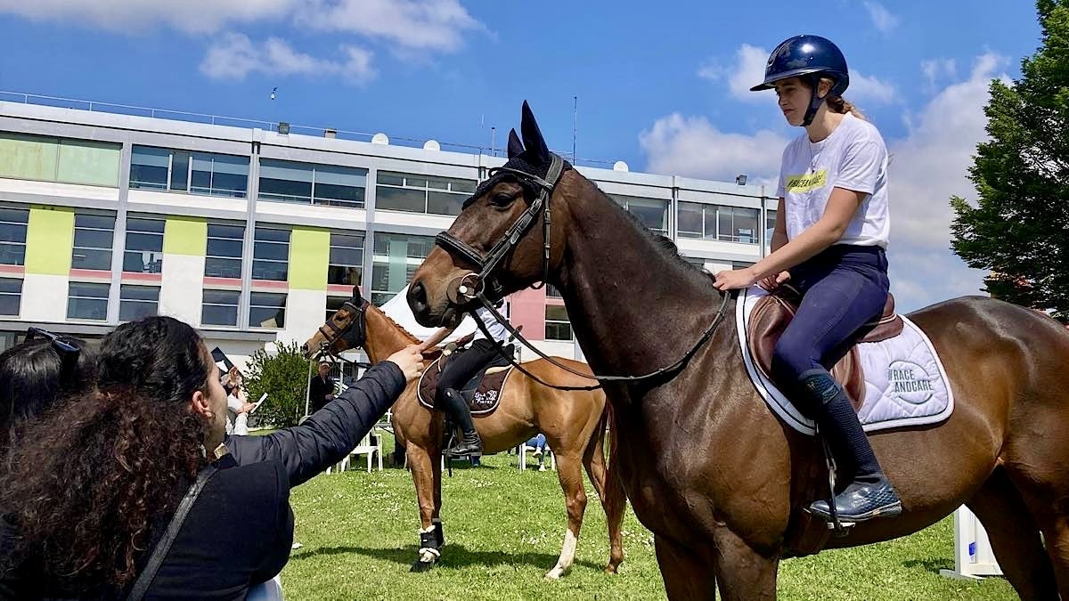 Reconversion des chevaux