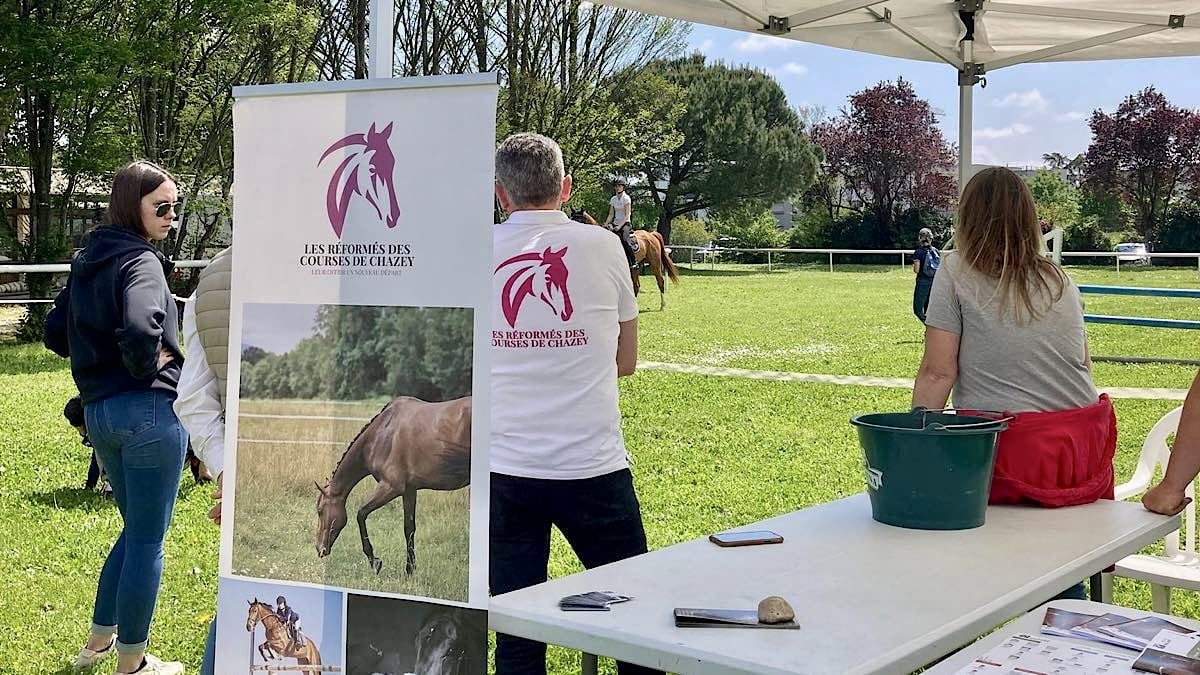 Reconversion des chevaux