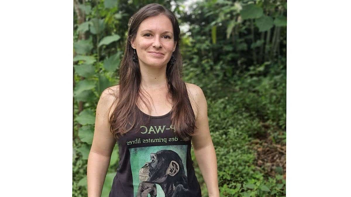 protection des chimpanzés