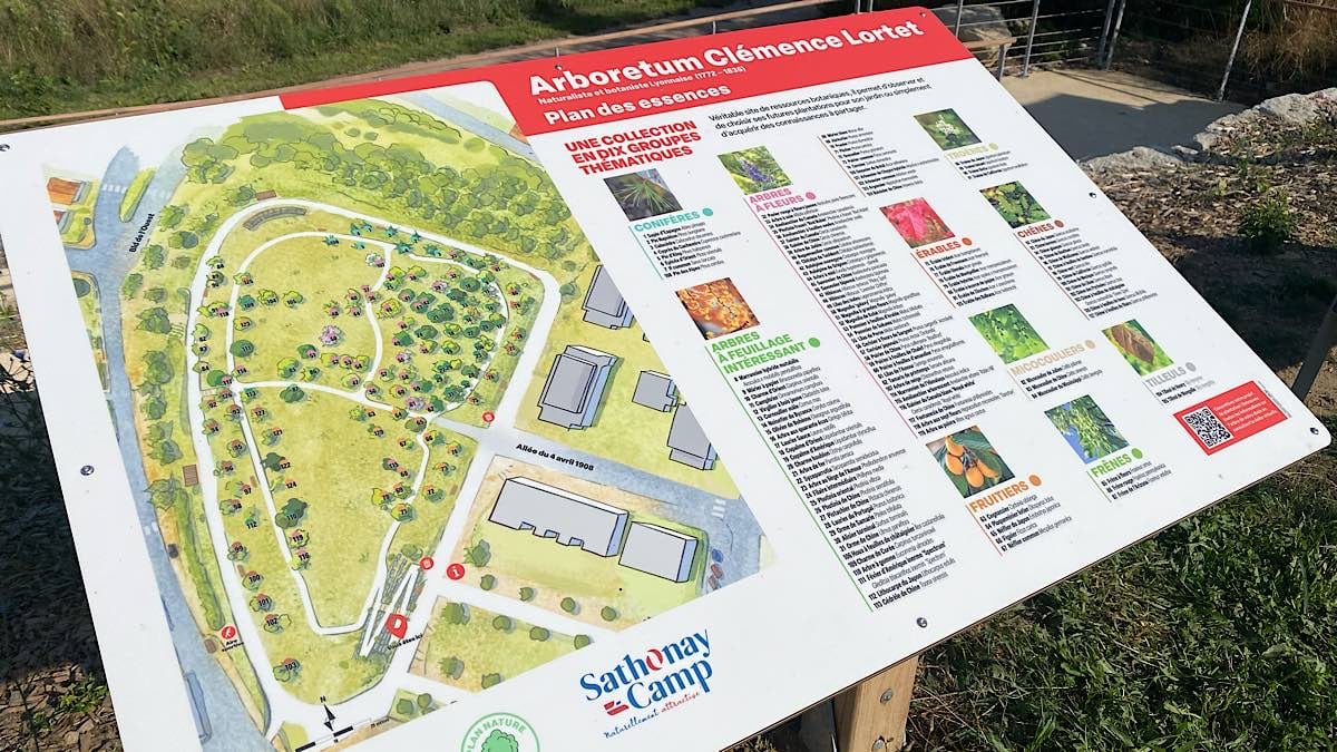 arboretum
