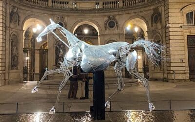 Zeus, le cheval des JO, galope dans la cour de la mairie de Lyon