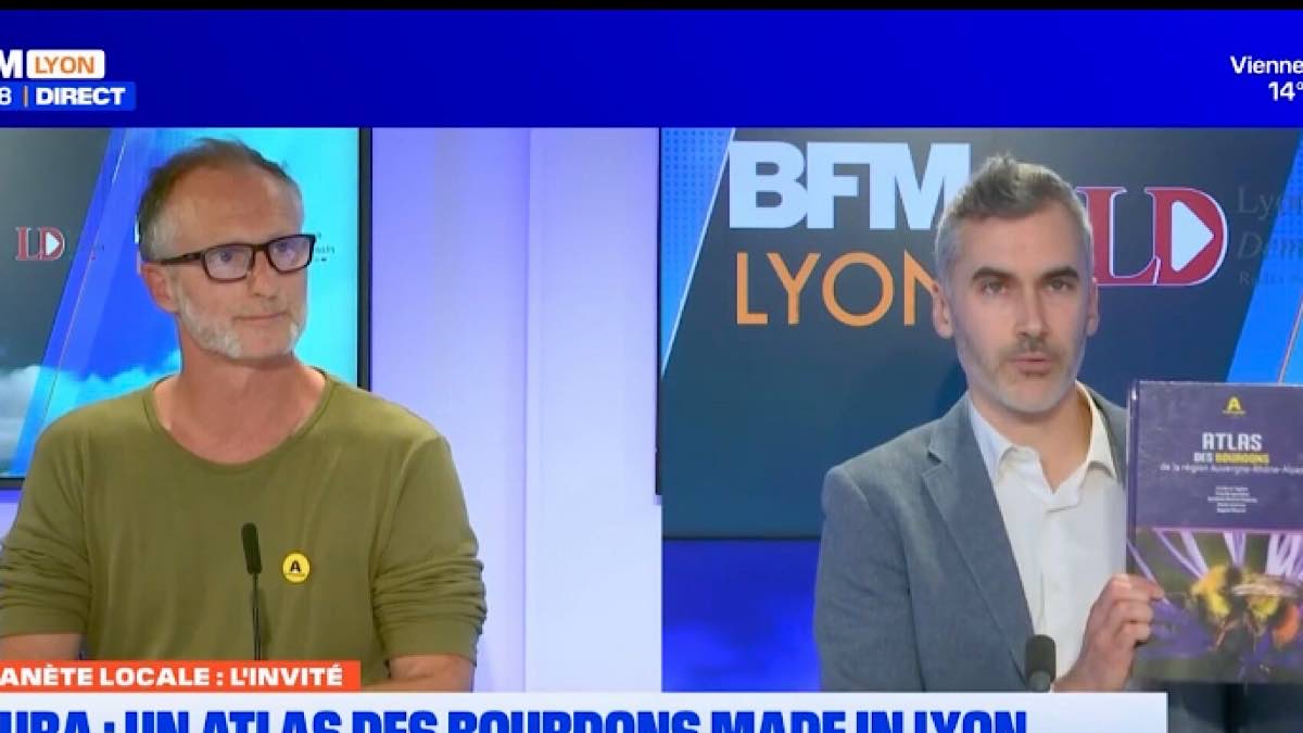 Bourdons Planète locale