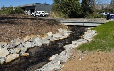Le Ruisseau de la Mouche en voie de renaturation