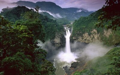 Grandeur Nature