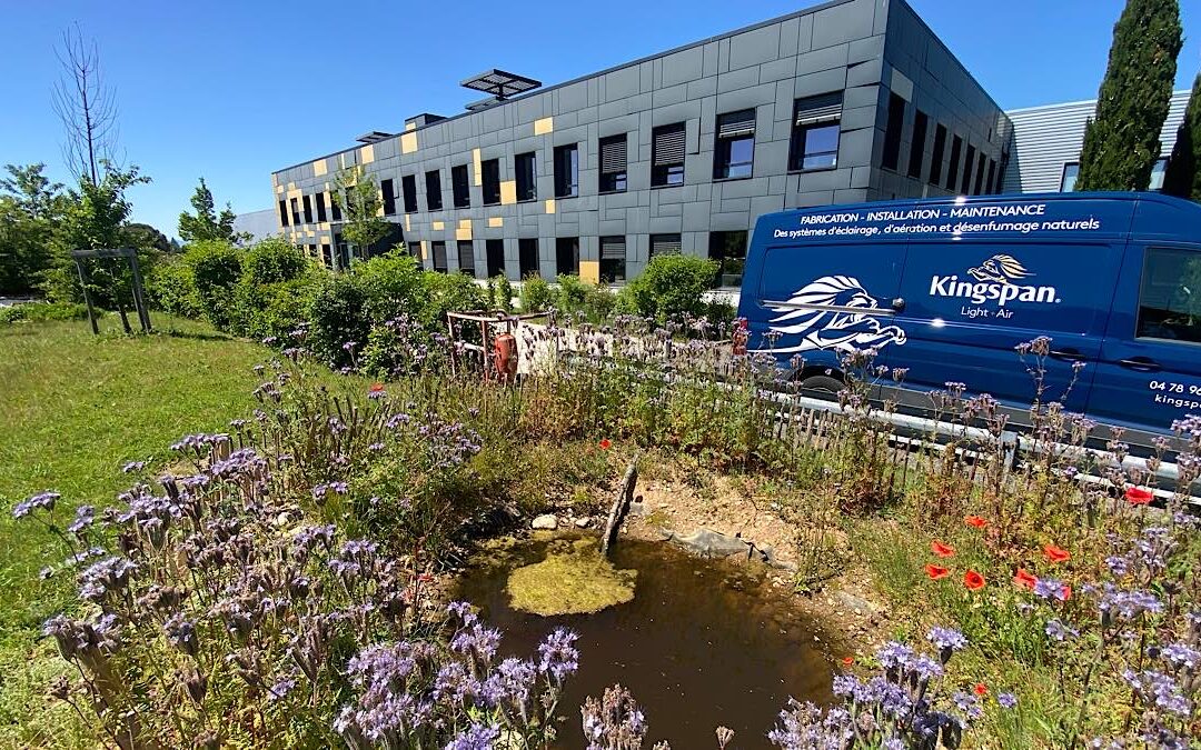 KINGSPAN Light + Air cultive la biodiversité à Saint-Priest