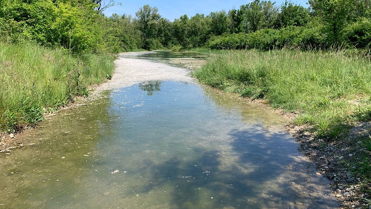 biodiversité