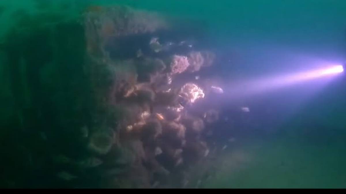 Munitions immergées