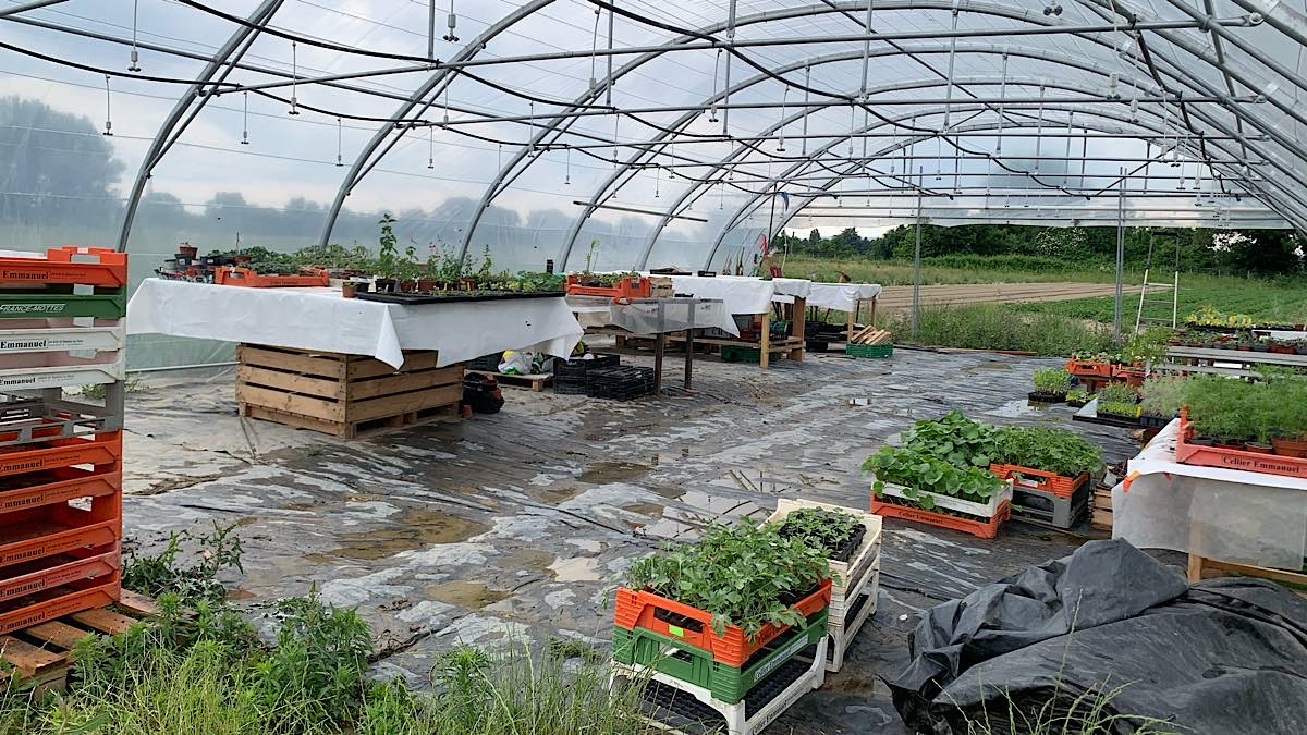 serres agricoles