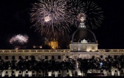 Feu d’artifice de Lyon : une attention particulière aux oiseaux